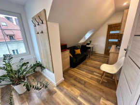 Pozytywny Apartament przy Rynku for 2